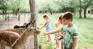 see- zoo1